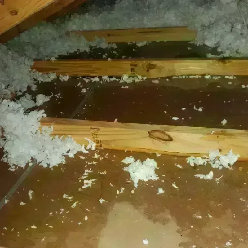 Attic Water Damage in Dunnstown, PA